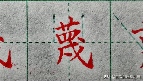 後背草字頭